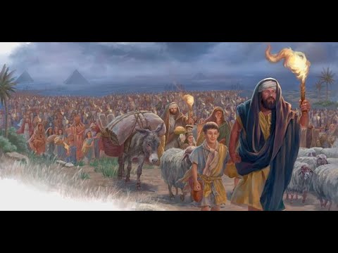 ሙሴ እና እስራኤላውያን [ኦሪት ዘጸአት - ዘዳግም] ቪዲዮ 1 ||  Moses and the Israelites video 1