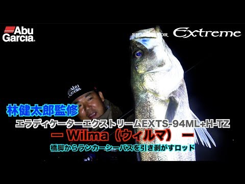 シーバス引退 エクスセンス サルベージ 60ES/70S/70ES/85S/85ES[XV-260M