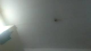 ngewe sama pembantu nya sendiri video 18 