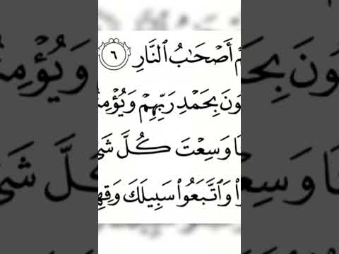 سورة غافر القارئ أسامة الحسين اكسبلور ترند يوتيوب