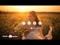 K K G Білі ромашки K K G Білі ромашки