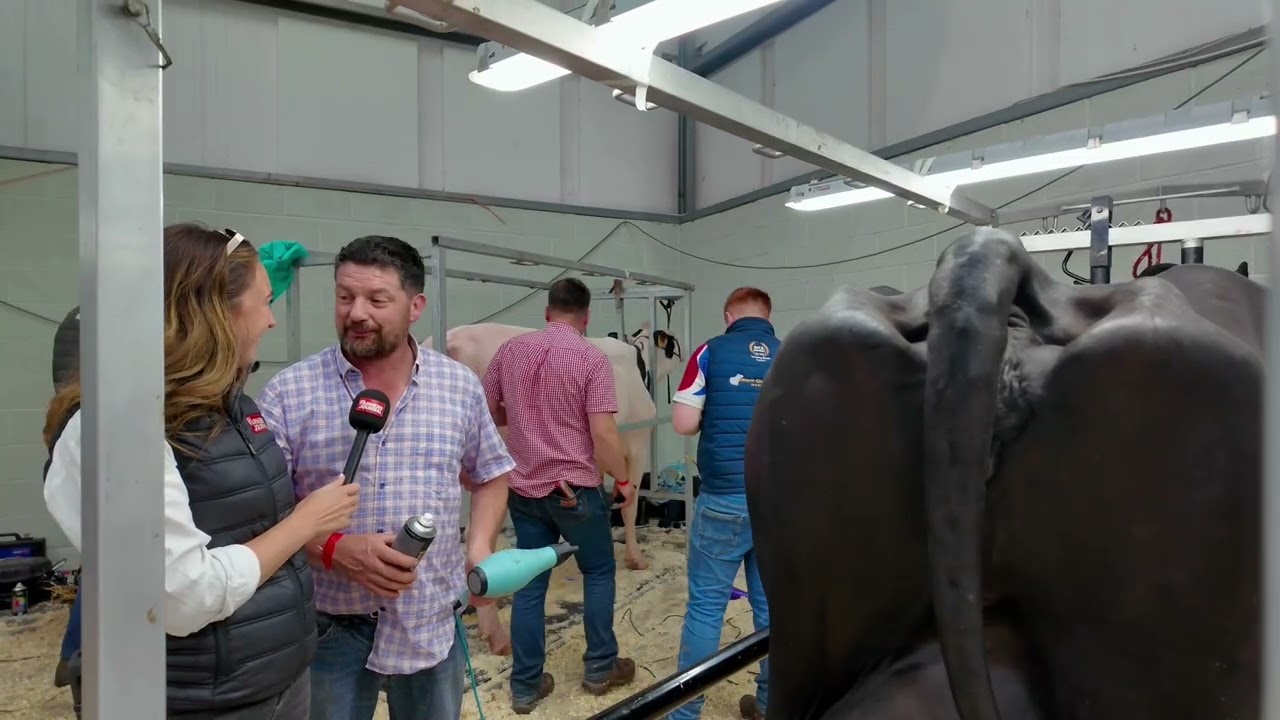 Proud moment for Kildare breeder at Virginia Show