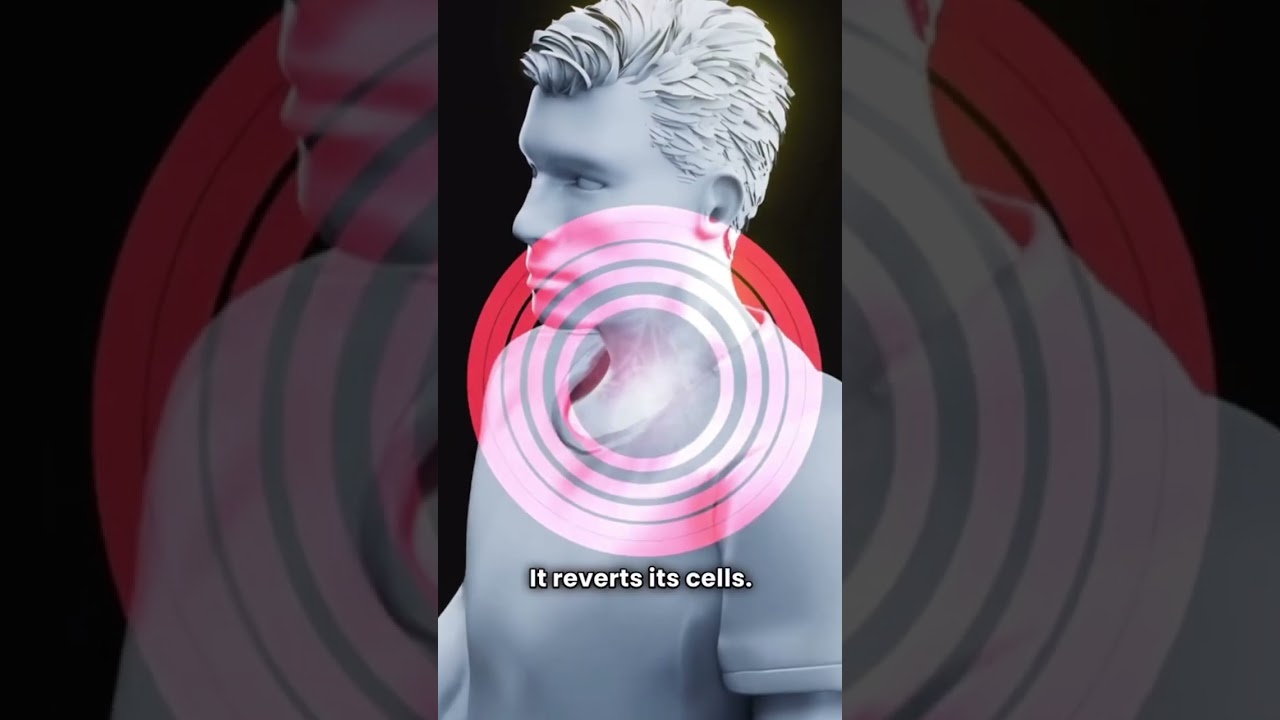 Nature figured out immortality 🪼🤯