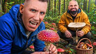MUSHROOM HUNTING TRIP