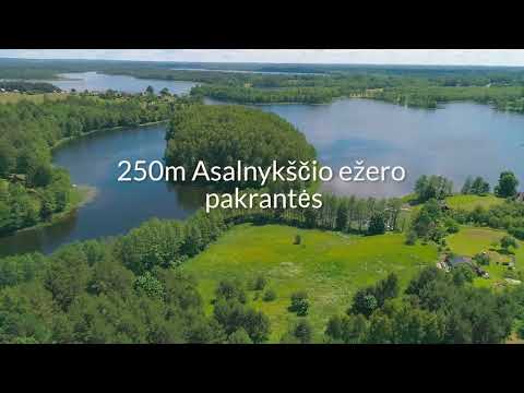 Video: Nekilnojamas paminklų vyrai