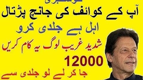 Ehsaas Emergency Program Pk Govt 12000 || How To Check Registration || آپکے کوائف کی جانچ پڑتال