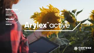 Arylex™ Active: The Key to Thriving Sunflower Fields - Farmers Speak Out