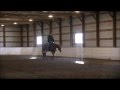 SOLD: ASSESTS PRETTY WOMAN - 4 yr old AQHA Mare