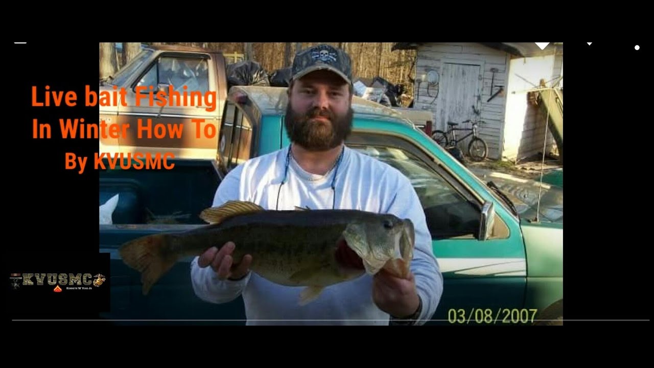 Livebait Fishing in Winter for Bass Red Drum Speckled Trout All  Gamefish How To Rigging BY KVUSMC