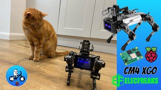 AI Robot Dog meets Cat. XGO CM4 by Elecfreaks.