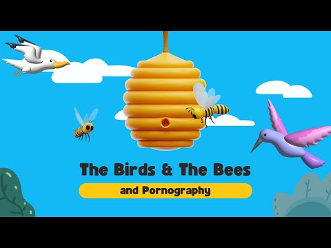 The Birds and The Bees and Pornography (youth lesson)