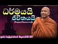 ධර මයය ජ ව තයය Bringing Dhamma To Life Ven Wellawatte Seelagawesi Thero ධර මයය ජ ව තයය Bringing Dhamma To Life Ven Wellawatte Seelagawesi Thero