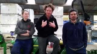 The Winemaker, The Apprentice #39