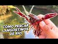 NUEVA CARNADA para pescar LANGOSTINOS