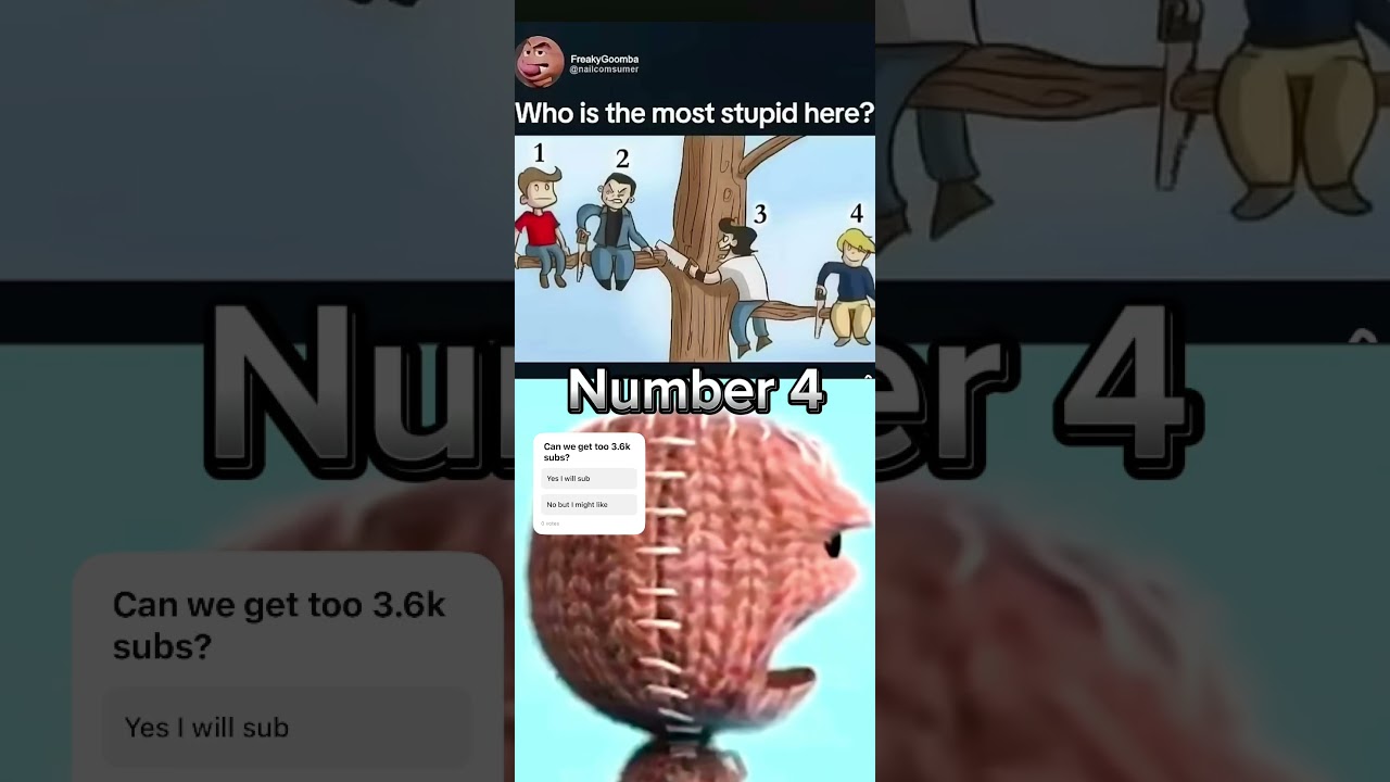 Who’s the most stupid here? 