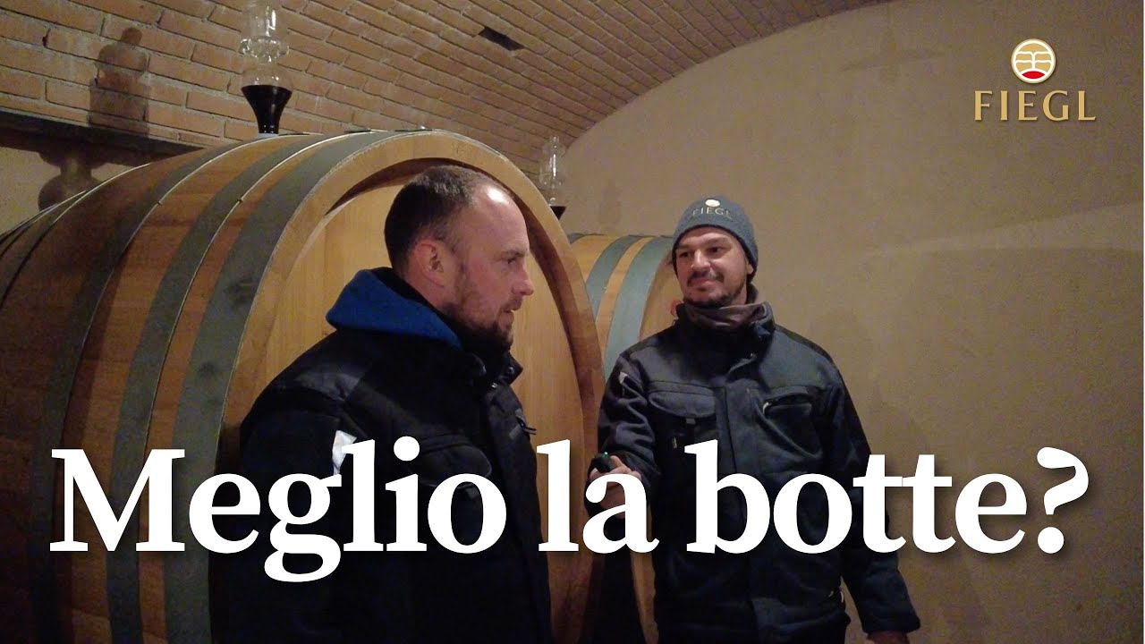 Affinamento del vino in botte di legno | 7 domande a Robert