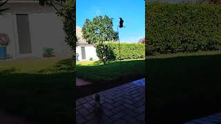 Madonna Acting Strange But Heres Doodle.