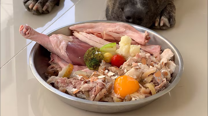 Oliang the Pit Bull SOLO eats RAW Boar, Duck Quarter&Feet, Chicken Egg combo [ASMR] | BARF | MUKBANG