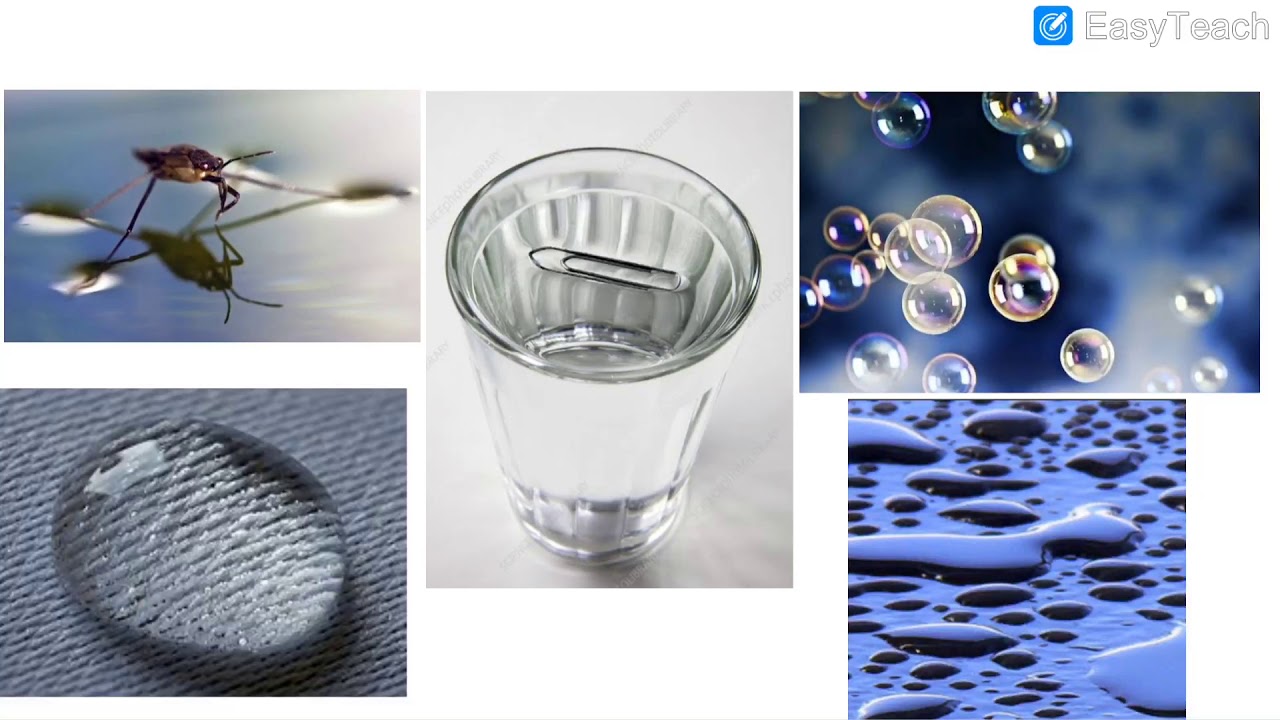 Surface Tension - YouTube