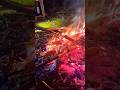 🔥 Sausages over a real campfire! /Bratwurst über echtem Lagerfeuer! | Bratwurst au vrai feu de camp
