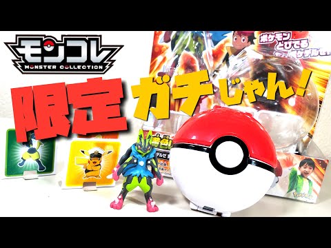 You should definitely buy it!] The definitive Pokémon