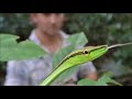 Amazon biodiversity expeditions 202021