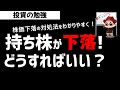 株式投資 保有株が下落！どうすればいい？損切りすべきかガチホすべきか？投資の勉強