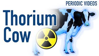 Milking the Thorium Cow  Periodic Table of Videos