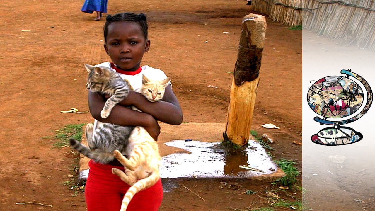 The S. African Animal Charity Helping Pet's Owners (2016)