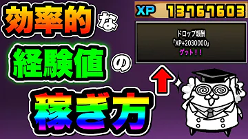 にゃんこ経験値