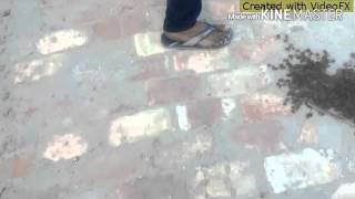 Janemon Imran New Song Official Video Imran Son