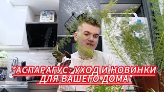 :            .