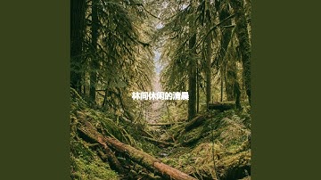 Mysterious Backdrops for Always Keynotes