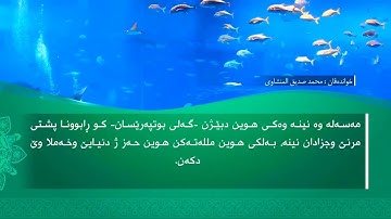 تحسين ابراهيم دوسكي - تەفسیرا سورة القيامة