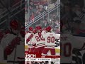 Busch from downtown