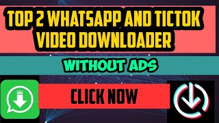 2 FAMOUS YOUTUBE AND TIKTOK DOWNLOADERS screenshot 5
