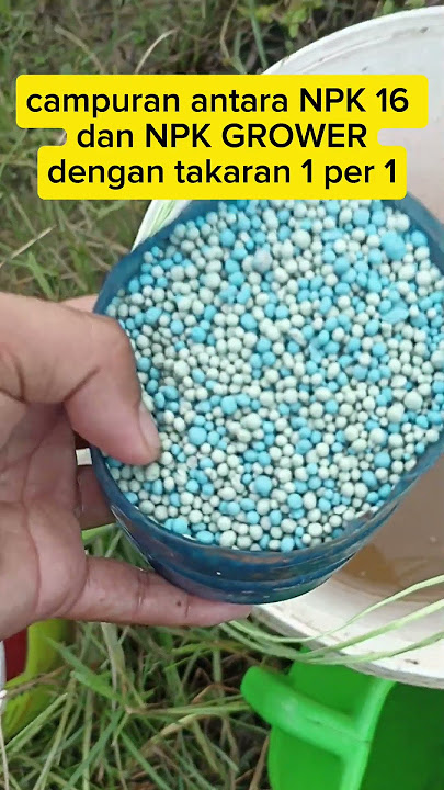 Pupuk untuk cabe dimasa Generatif atau pembuahan agar cabe berbuah lebat #cabe