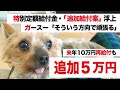 緊急速報 特別定額給付金【年内 国民一律5万円追加給付＋来年10万円再給付案浮上】ガースー 最新情報【自民・長島氏らが追加経済対策などを求める要望書を提出】