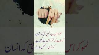 Urdu Quotes Urdu Aqwalzareen  motivational Quotes hearttouching Quotes Golden status shorts