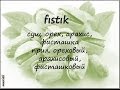 fıstık - орех