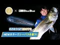 【シーバス】スネコン130TGの使い方を解説！by高橋優介