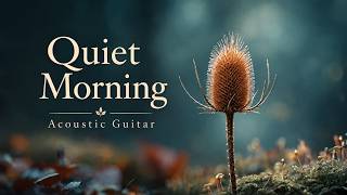Quiet Morning Acoustic Guitar ~ Peaceful Guitar Music for Relaxation, Study & Stress Relief screenshot 3