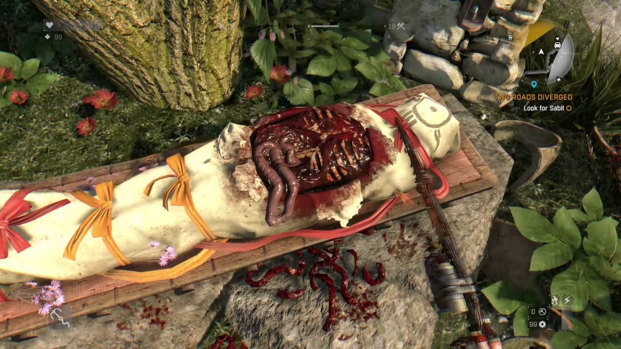 Dying Light The Following Sabit