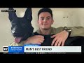 WCBS 2 Covers Paws of War's Reunion for Retired Military Working Dog and Handler After Five Years