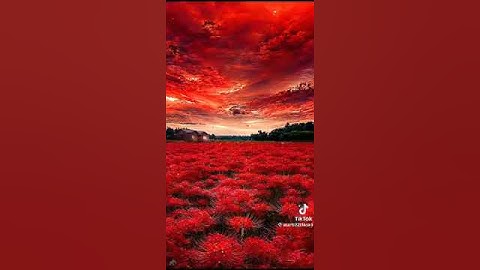 ﴿لِّمَنِ الملك الْيَوْمَ ۖ لِلَّهِ الْوَاحِدِ الْقَهَّارِ﴾. |لفضيلة القارئ عبد العزيز سحيم