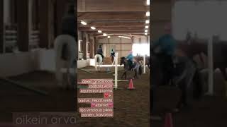 Onnittelut Ja Super Lumi Estetunnilla