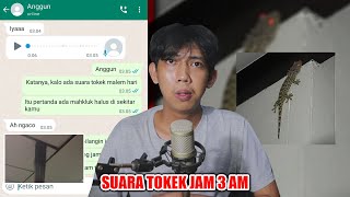 SUARA TOKEK JAM 3 AM, PERTANDA ADA MAHKLUK HALUS?!😱 | CHAT HISTORY HORROR INDONESIA