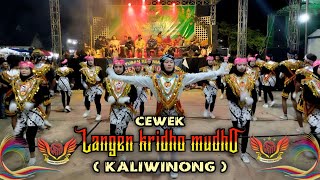 Brondut Cewek LKM (Langen Kridho Mudho) Dusun Temanggung, Soborejo Live Perform Kaliwinong