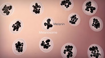 Tại sao da sạm đen khi đi nắng?