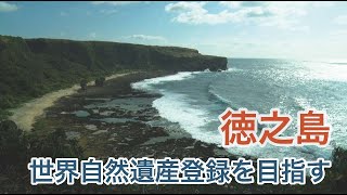 徳之島　手つかずの自然が残る希少な島